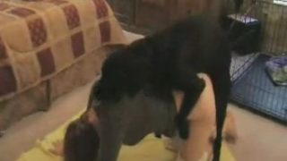 فيلم اباحي مع الكلاب السريعة في سكس الحيوانات